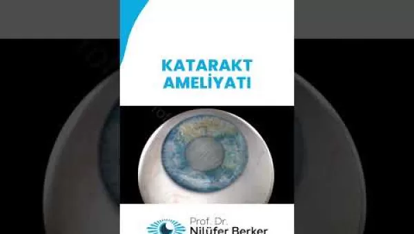 retina,retinacerrahisi,retinadekolmanı,üveit,üveitdoktoru,gözdoktoru,gözhastalıkları,katarakt,katarakttedavisi,gözkızarıklığı,gözkuruluğu,göztansiyonu,konjonktivit,skleral fiksasyon,behçet hastalığı,çocuklarda üveit,sarı nokta,sarı